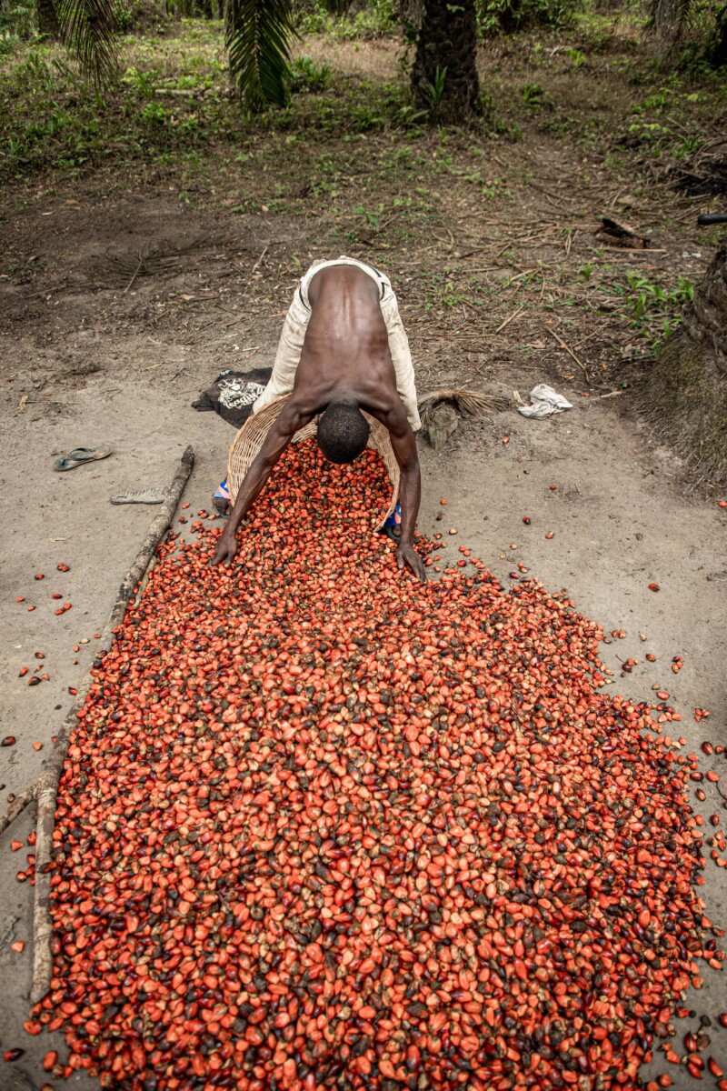 Man processes bright red palm oil seeds laid out on the floor in front of him.