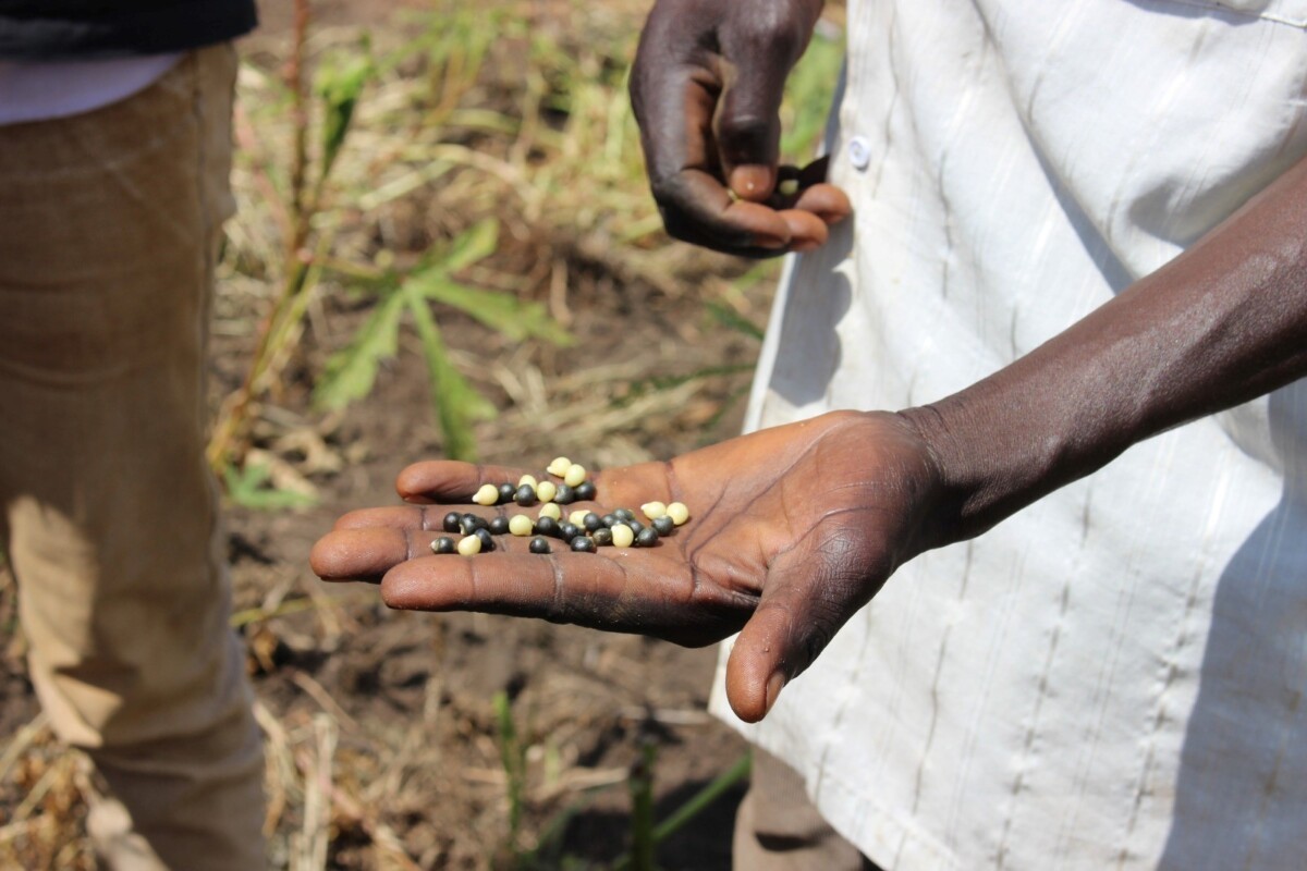 Building a Sustainable Future on the Frontlines of Climate Change